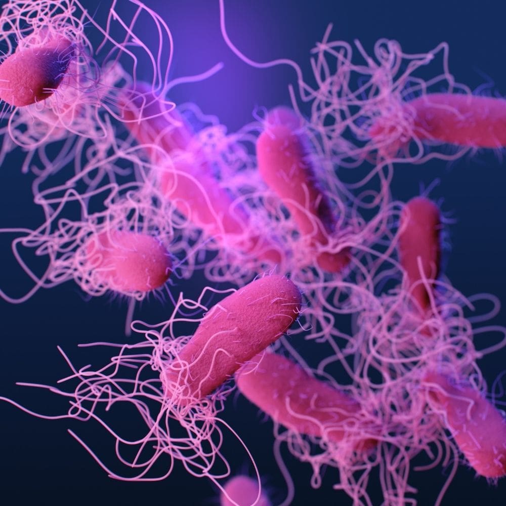 Bacteria top air purifier