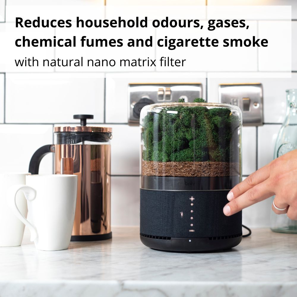 Briiv Natural Moss Air Purifier Nano Filter - Aerify