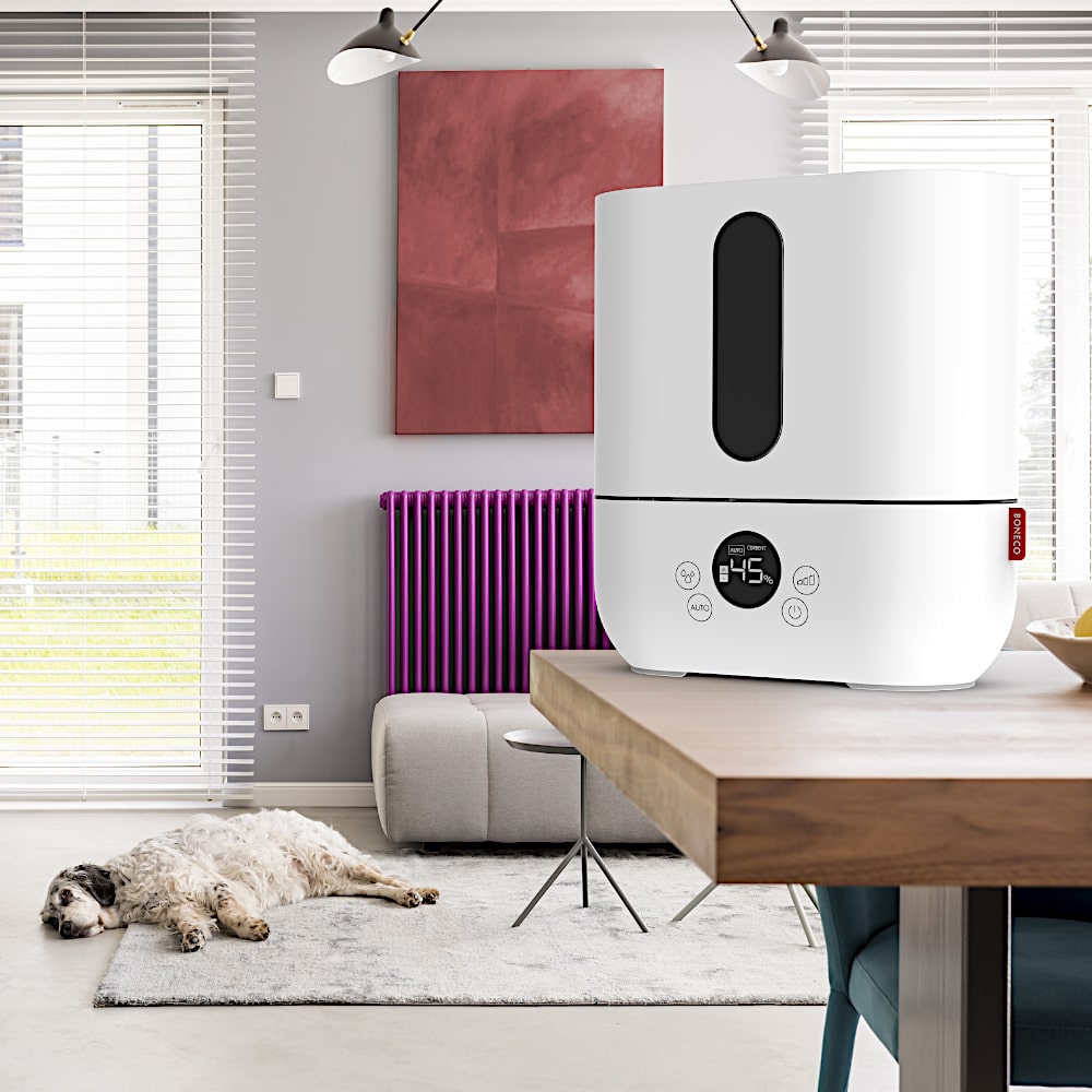 Boneco U250 Ultrasonic Humidifier 8LDay In Living Room With Dog - Aerify