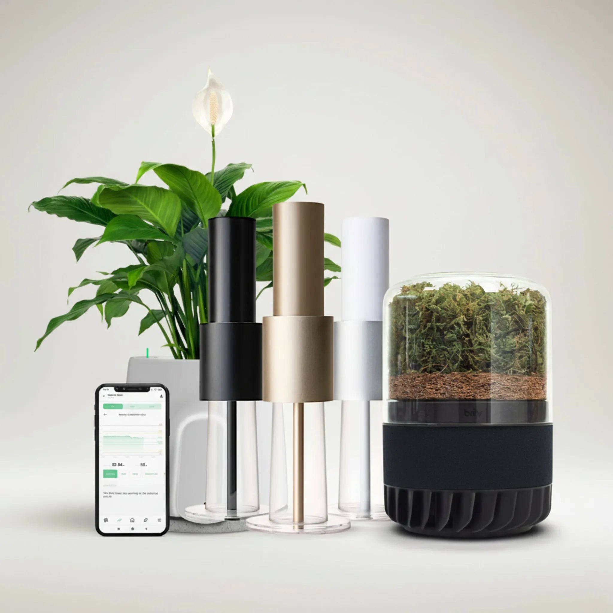 Eco-Friendly Air Purifiers: Sustainable Alternative to HEPA Filters ...