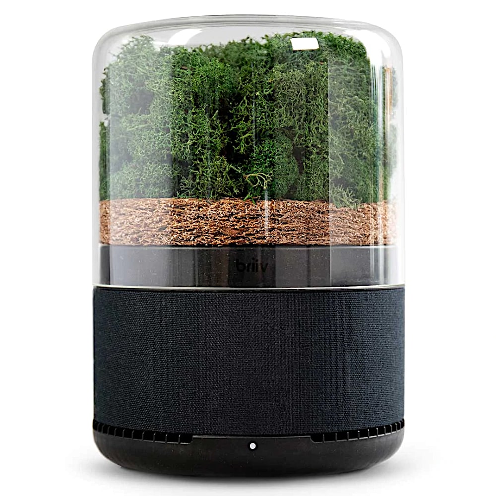 Briiv Air Purifiers: Nature-Powered Air Quality at Aerify – Aerify ...
