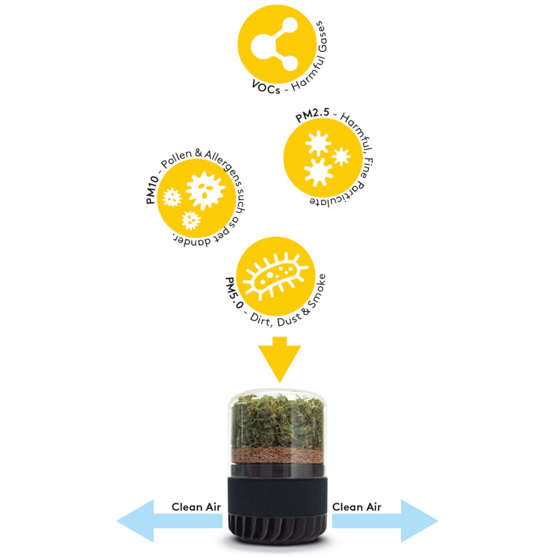 Air_purifier_filtering_harmful_particles