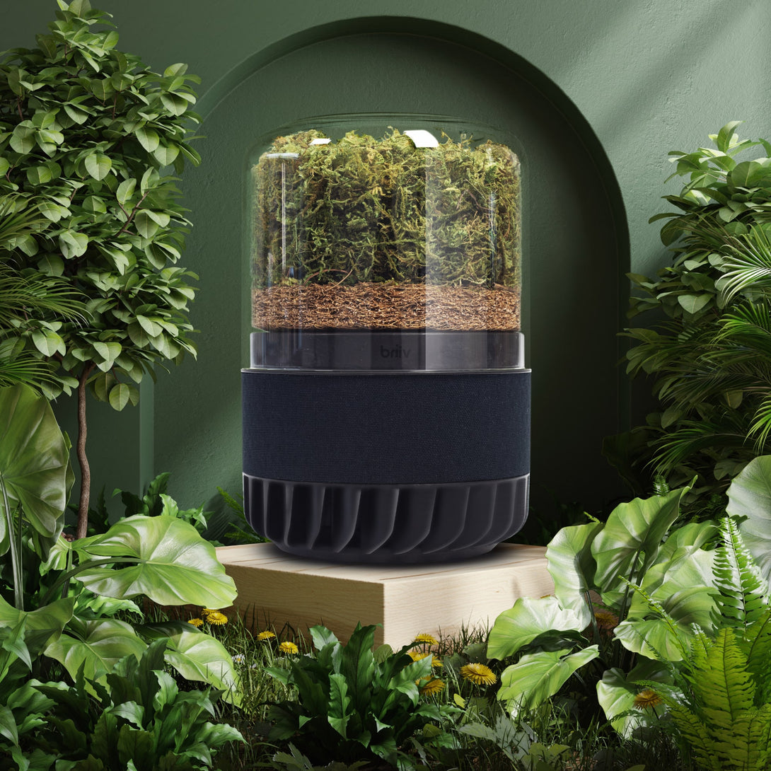 Air_purifier_with_plants