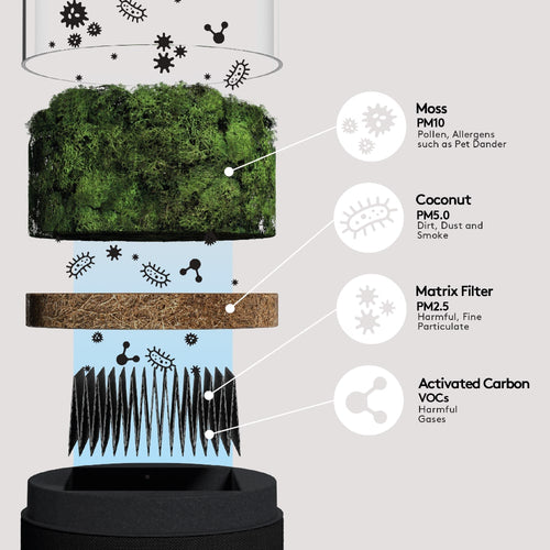 Moss Pure Live Moss Air Filter in Black