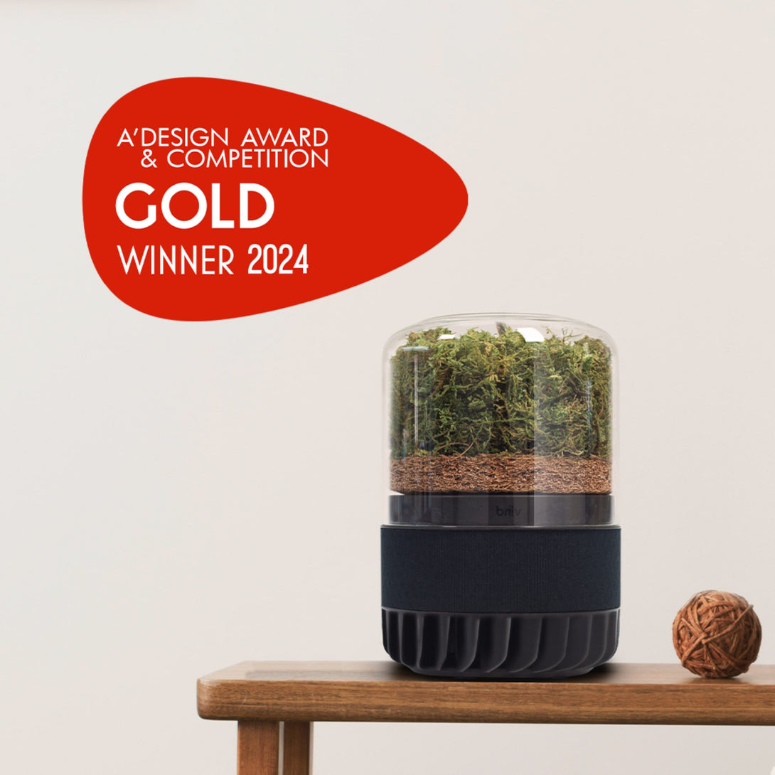 Gold_design_award_2024_winner