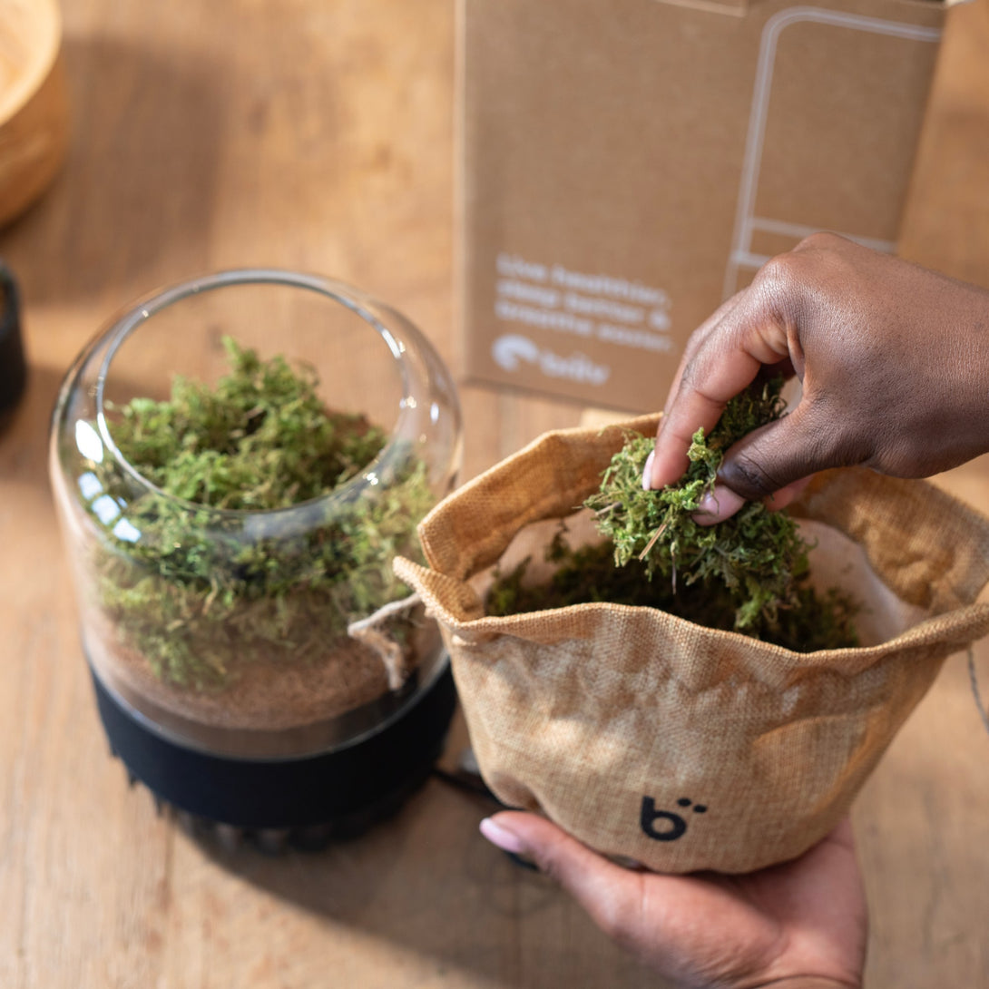 Hand_placing_moss_in_container