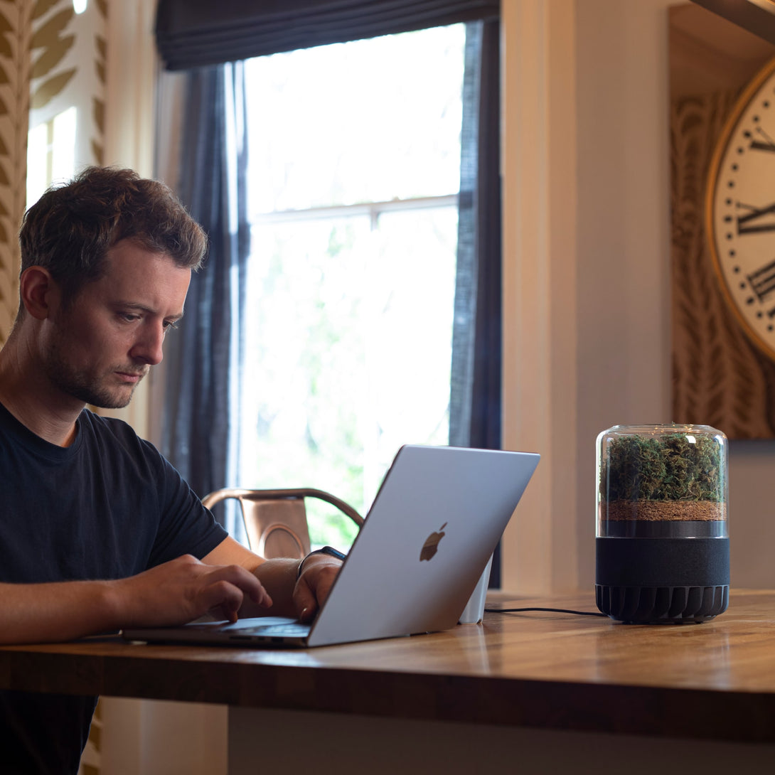 Man_working_on_laptop