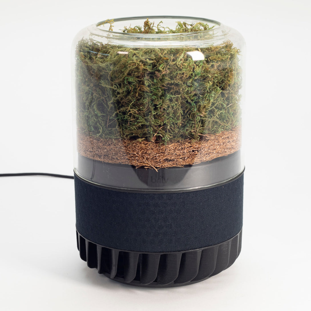 Moss_air_purifier_device