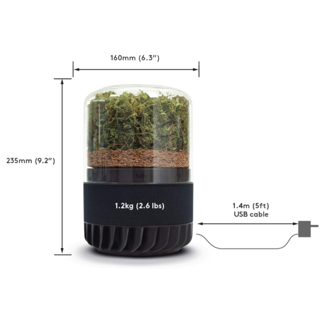 Moss_air_purifier_dimensions