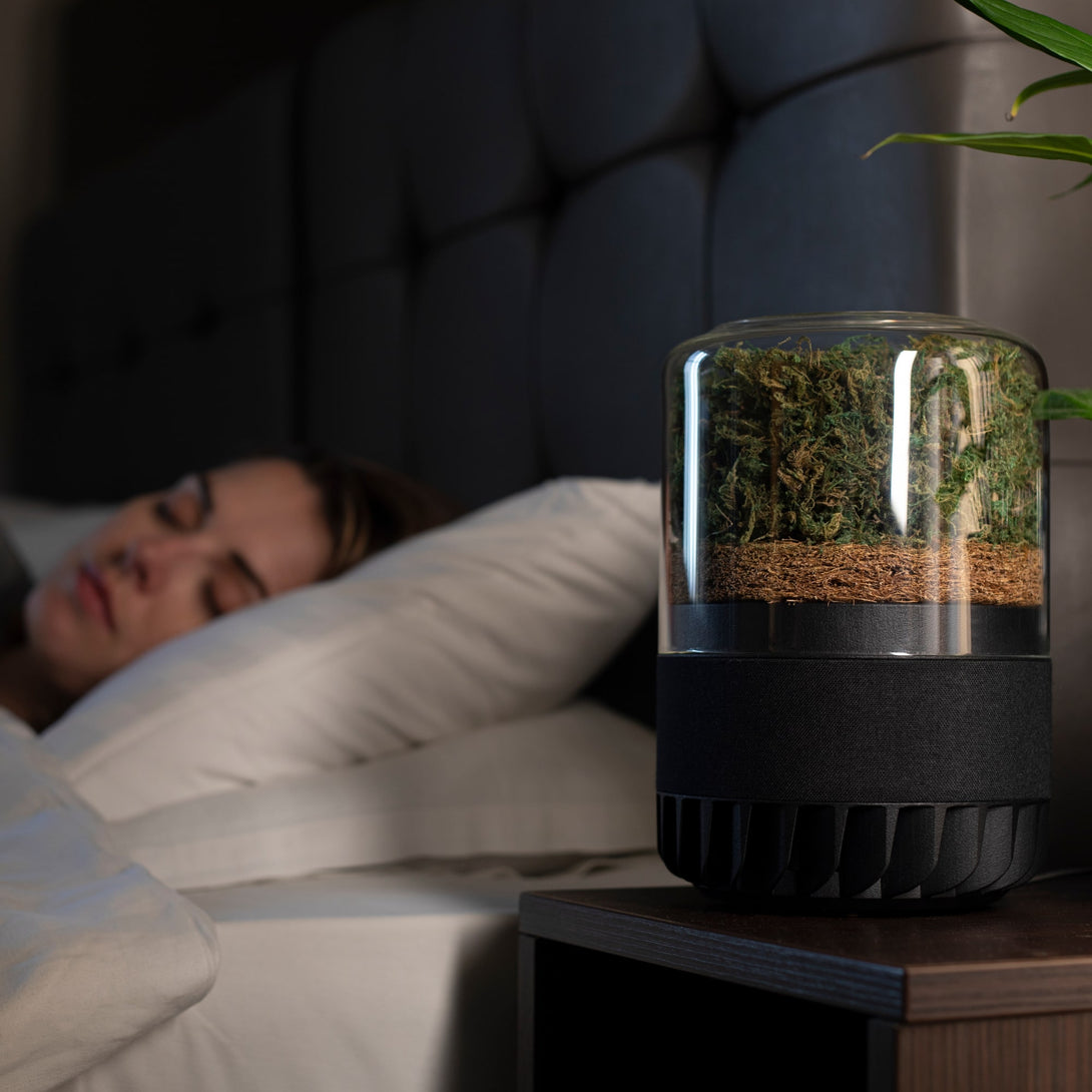 Person_sleeping_beside_air_purifier