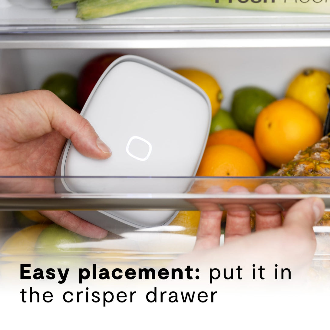 Shelfy_Captions_Placement Crisper_ENG