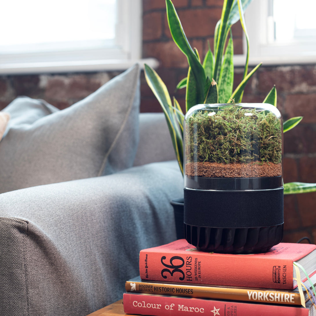 Terrarium_on_stacked_books