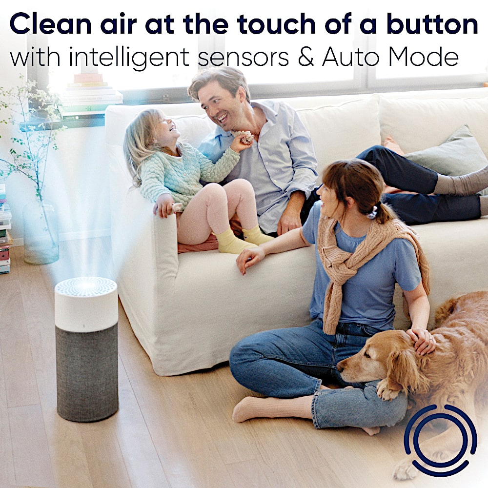 Blueair Blue 3210 Air Purifier With Combination Filter Simple Operation - Aerify
