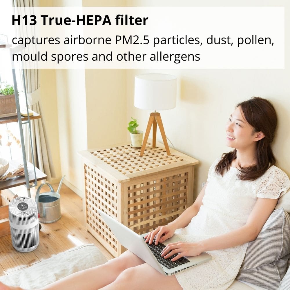 Boneco P230 Air Purifier H13 True HEPA Filter - Aerify