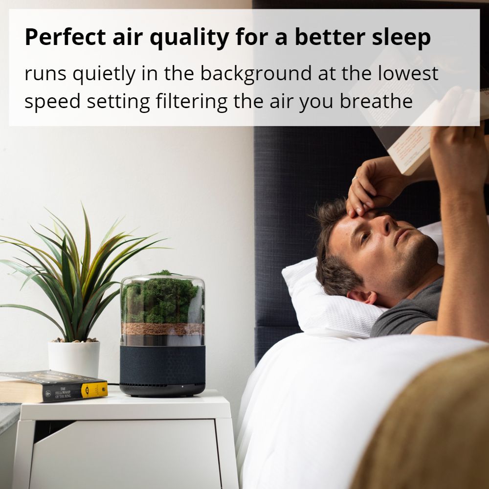 Briiv Natural Moss Air Purifier Perfect For Sleep - Aerify
