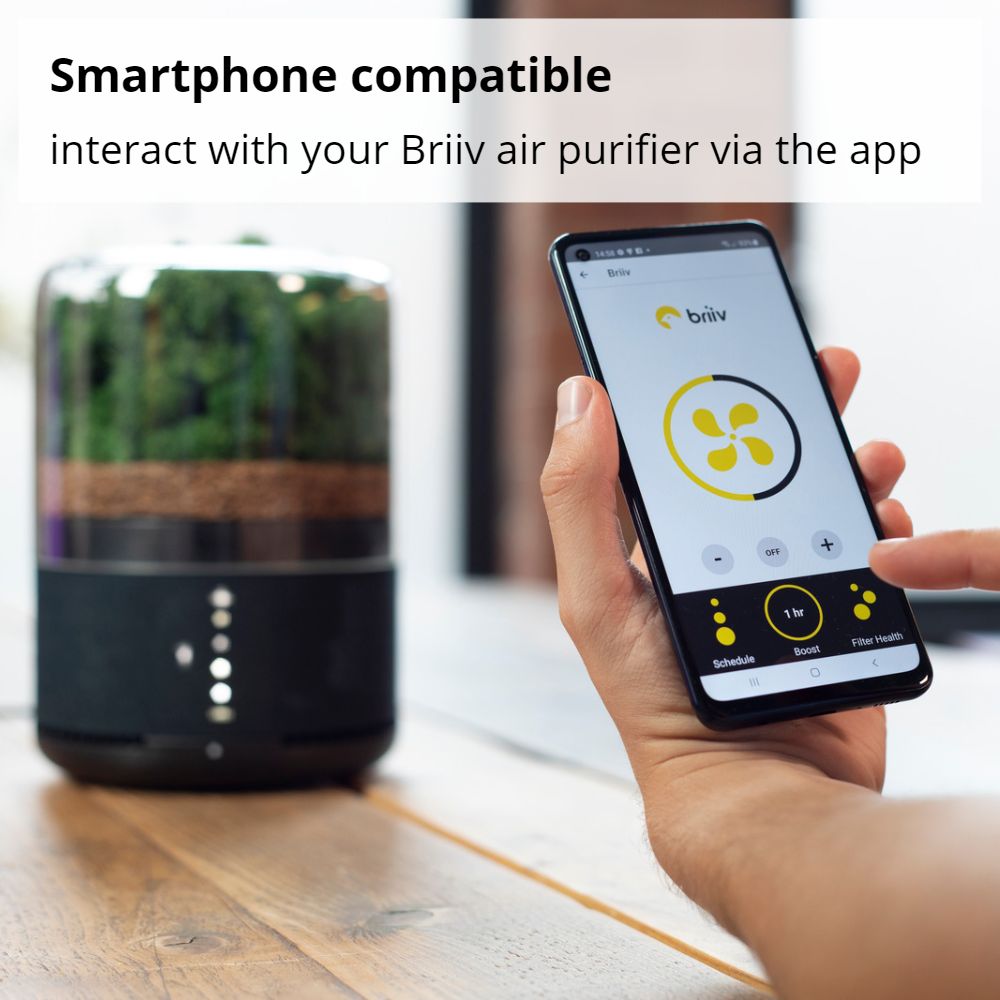 Briiv Natural Moss Air Purifier Smartphone Compatible - Aerify