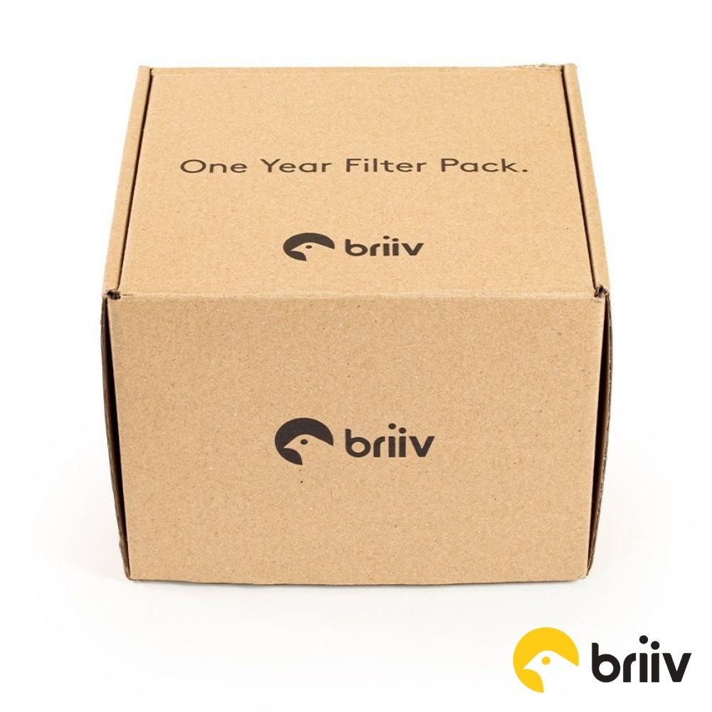 Briiv One Year Replacement Filter Set - Aerify