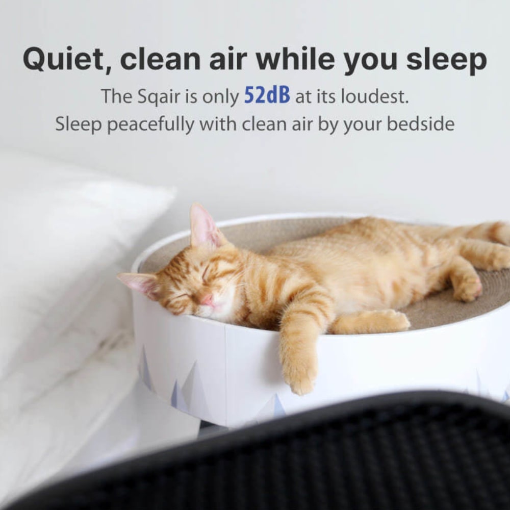 Smart Air Sqair Air Purifier Quiet Clean Air - Aerify