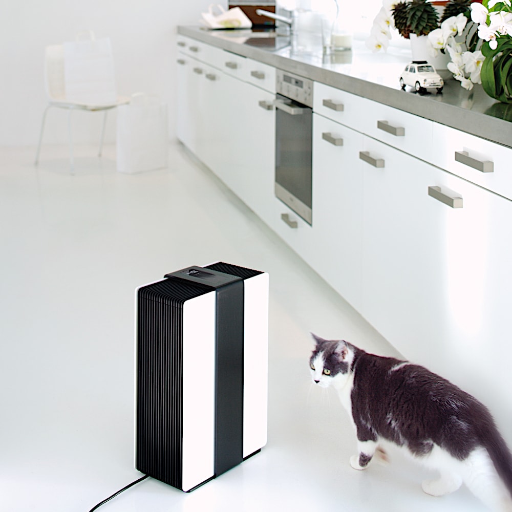 Stadler Form Robert Hybrid Humidifier & Air Purifier Black In Kitchen With Cat - Aerify