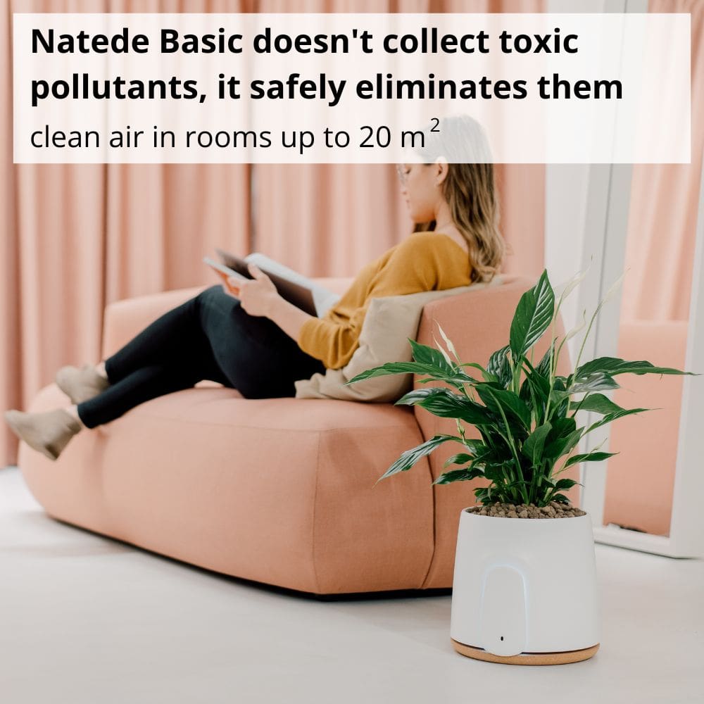 Vitesy Natede Basic Natural Air Purifier Eliminates Pollutants - Aerify