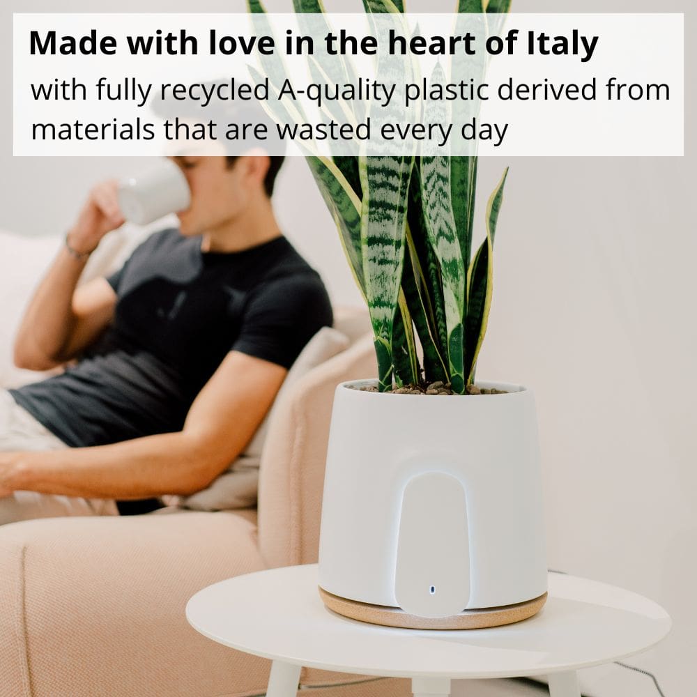 Vitesy Natede Basic Natural Air Purifier Made In Italy - Aerify