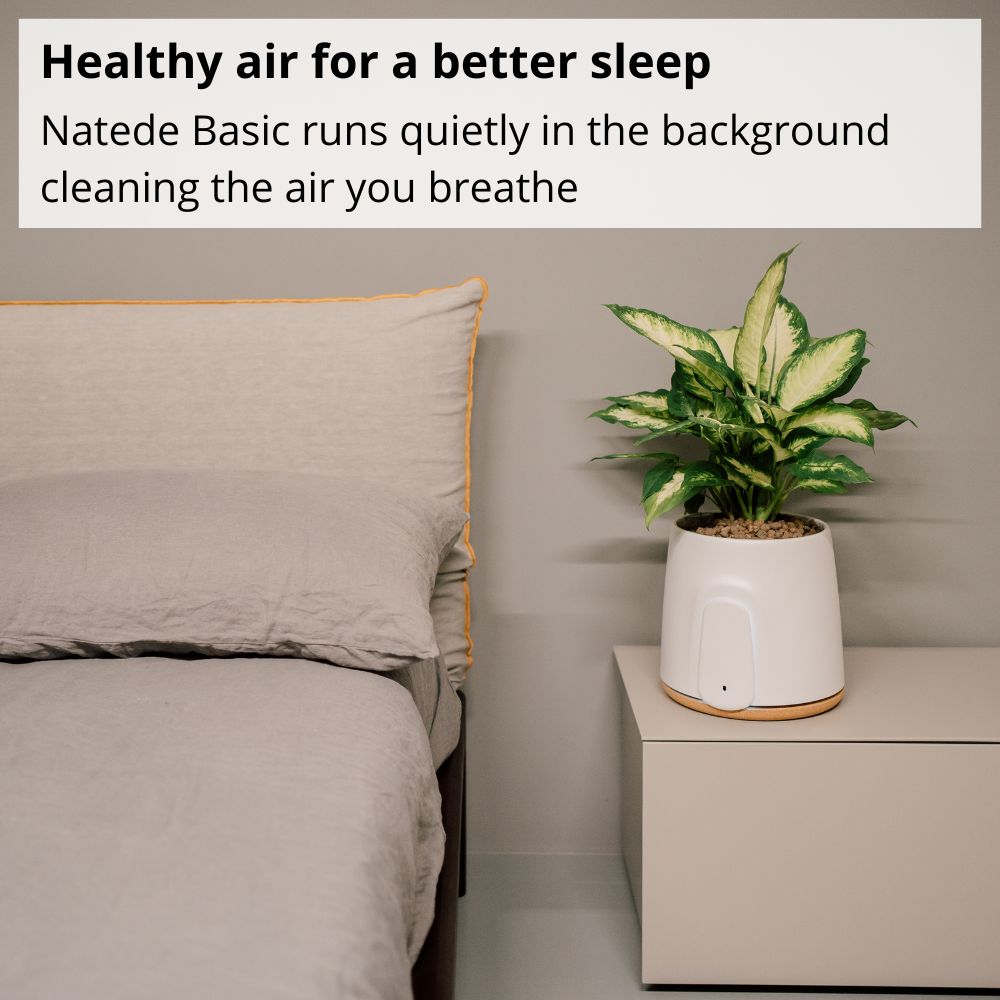 Vitesy Natede Basic Natural Air Purifier On Table In Bedroom - Aerify