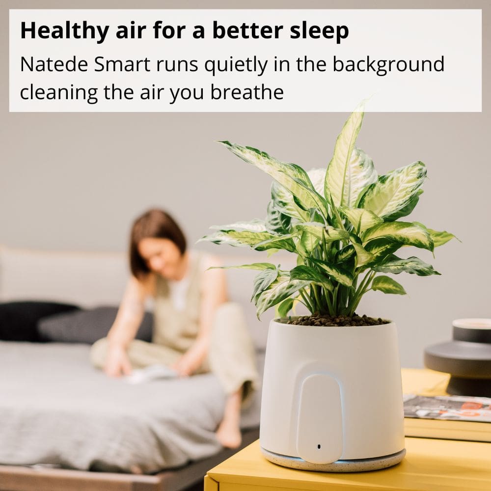 Vitesy Natede Smart Natural Air Purifier And Indoor Air Quality Monitor Healthy Air For Better Sleep - Aerify