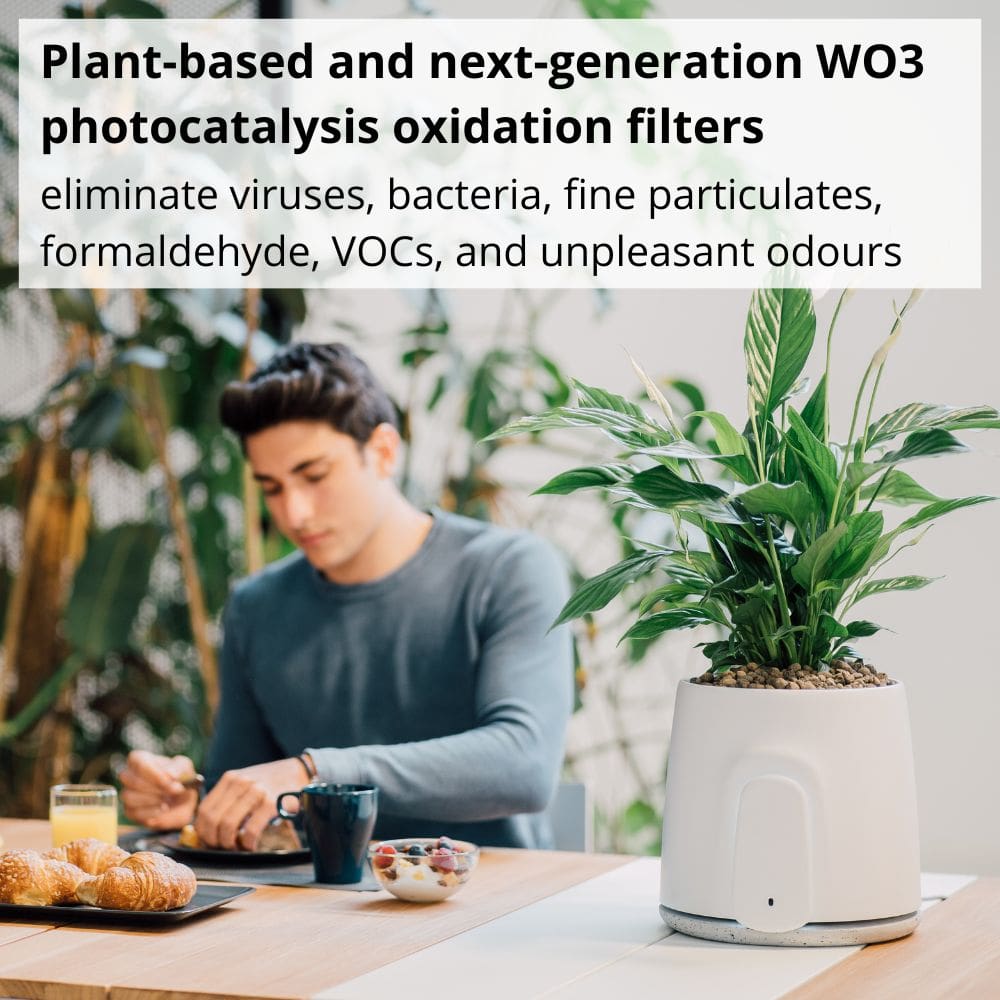 Vitesy Natede Smart Natural Air Purifier And Indoor Air Quality Monitor Next Generation PCO Technology - Aerify