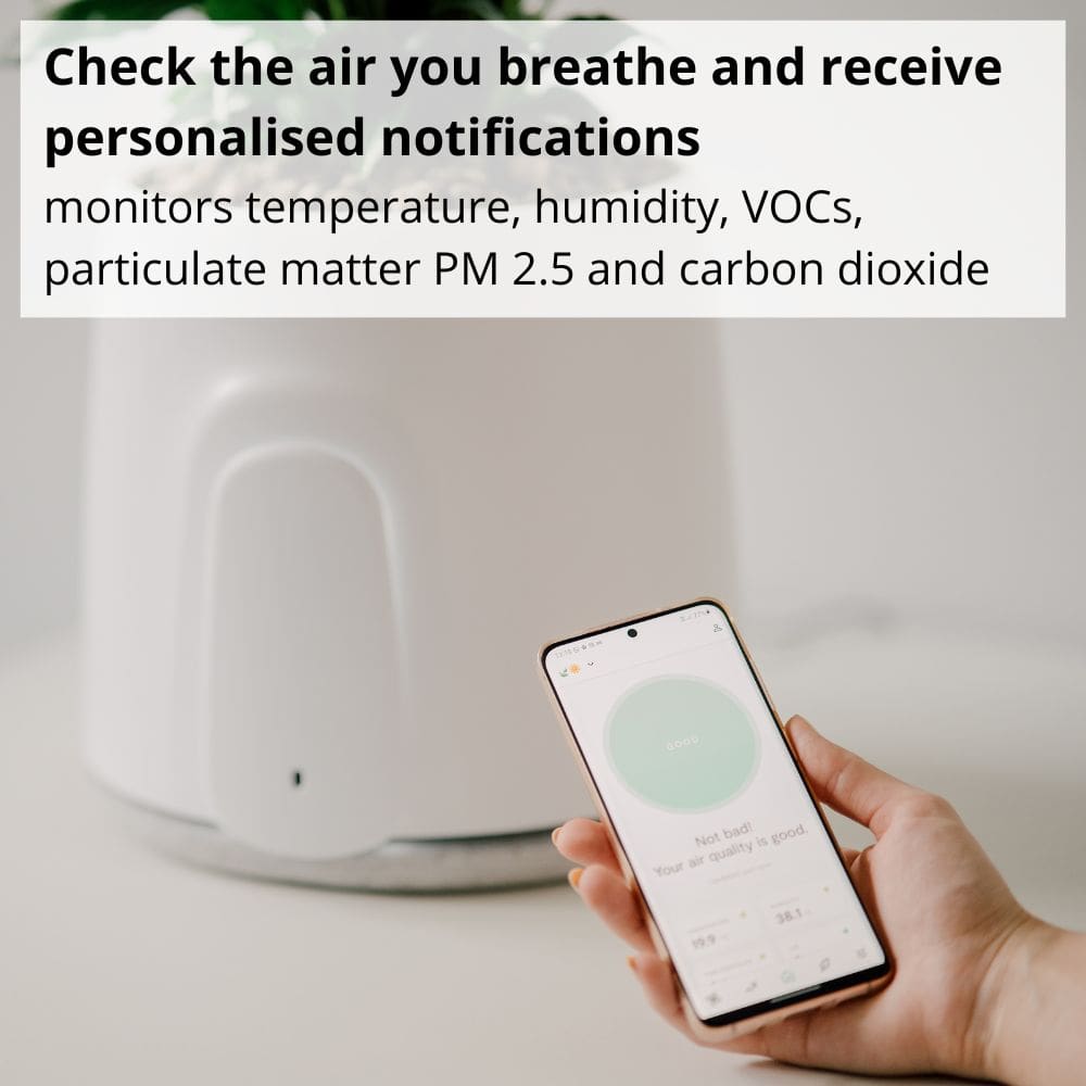 Vitesy Natede Smart Natural Air Purifier And Indoor Air Quality Monitor Personalised Notifications - Aerify