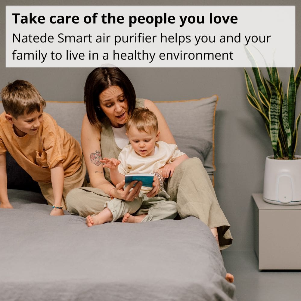 Vitesy Natede Smart Natural Air Purifier And Indoor Air Quality Monitor Take Care Of The People You Love - Aerify