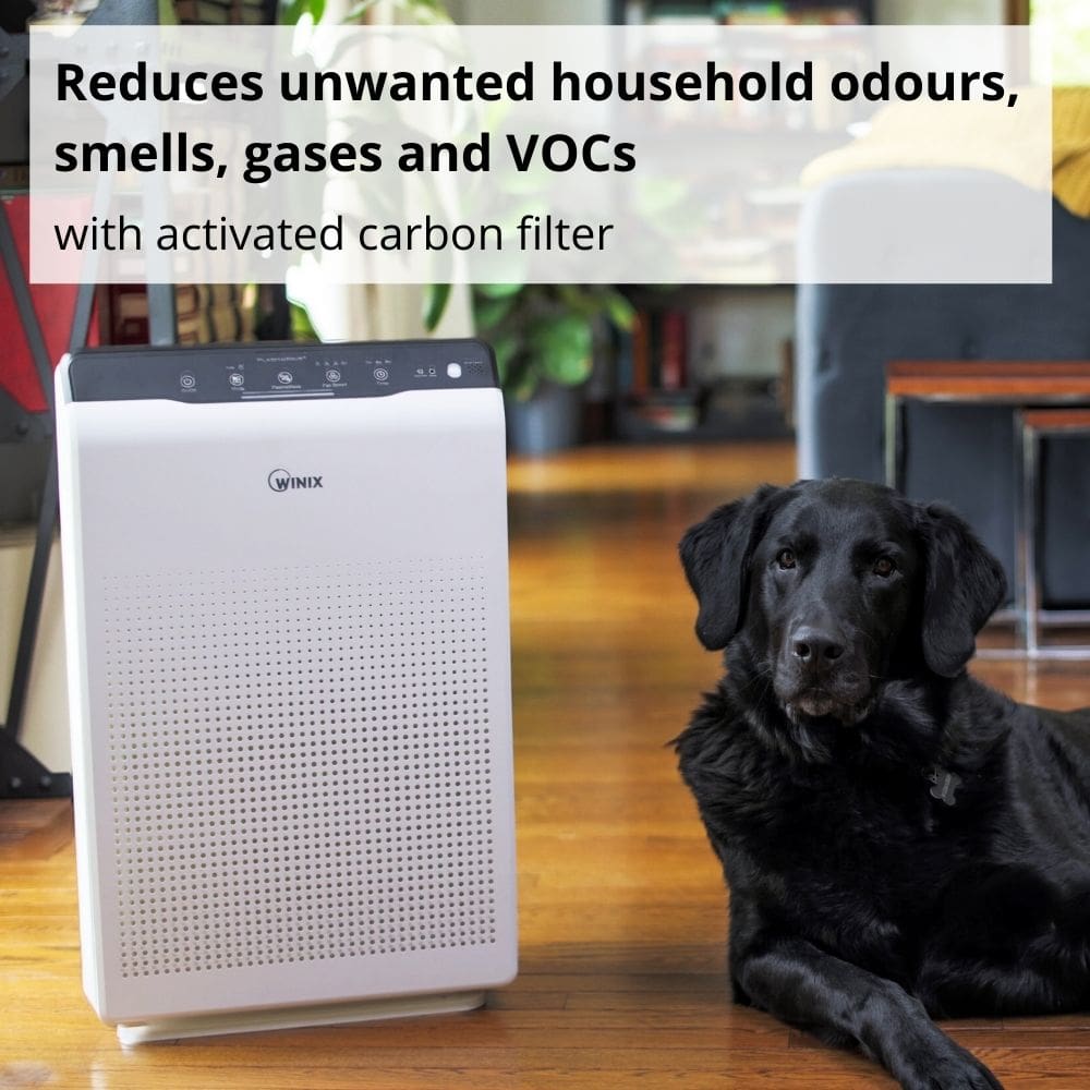 Winix Zero Air Purifier Reduces Odours, VOCs, Gases and Smells - Aerify
