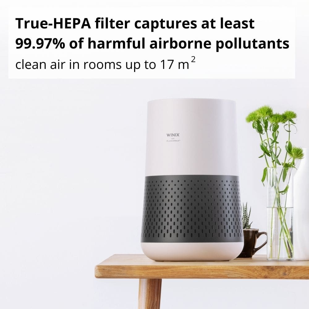 Winix true hepa clearance air purifier